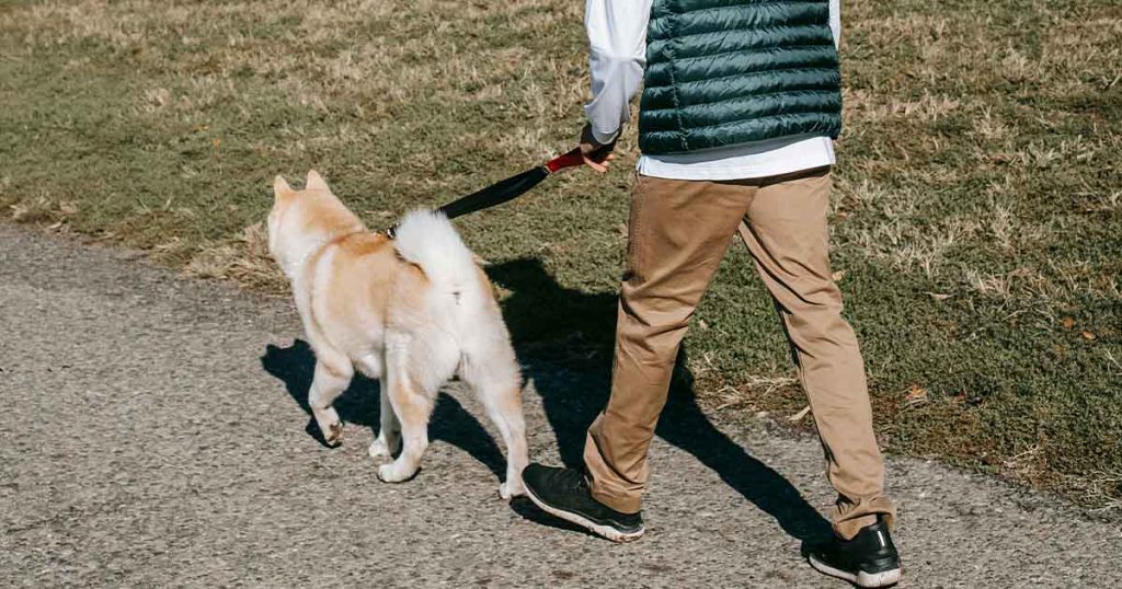 man walking his dog