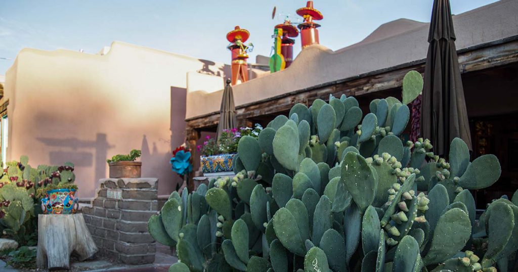 a home with cacti outside