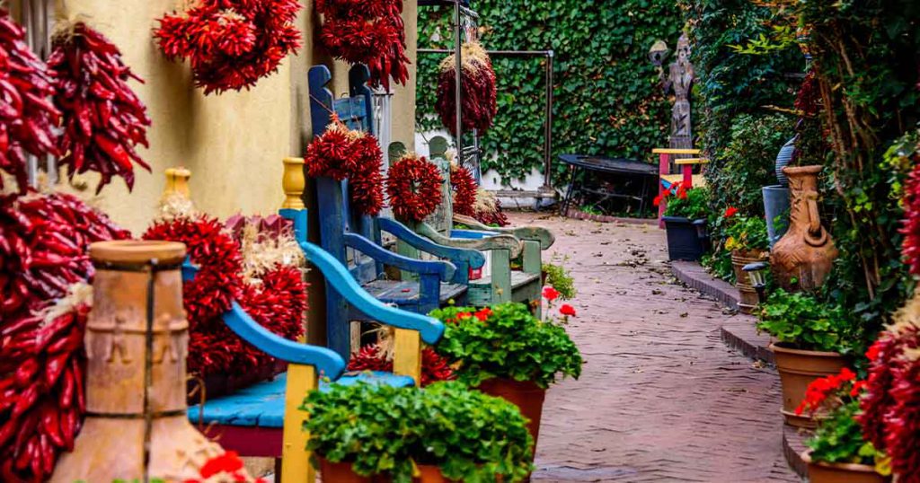 vibrant pathway with colorful chairs