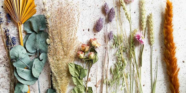 How to preserve flowers hero