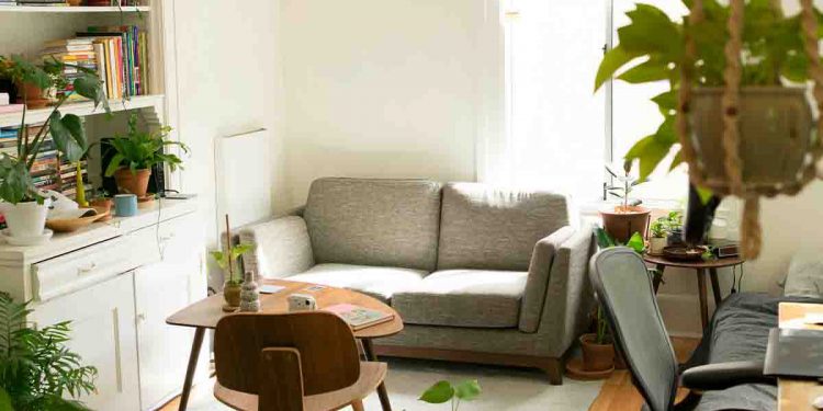 Small apartment with couch and plants