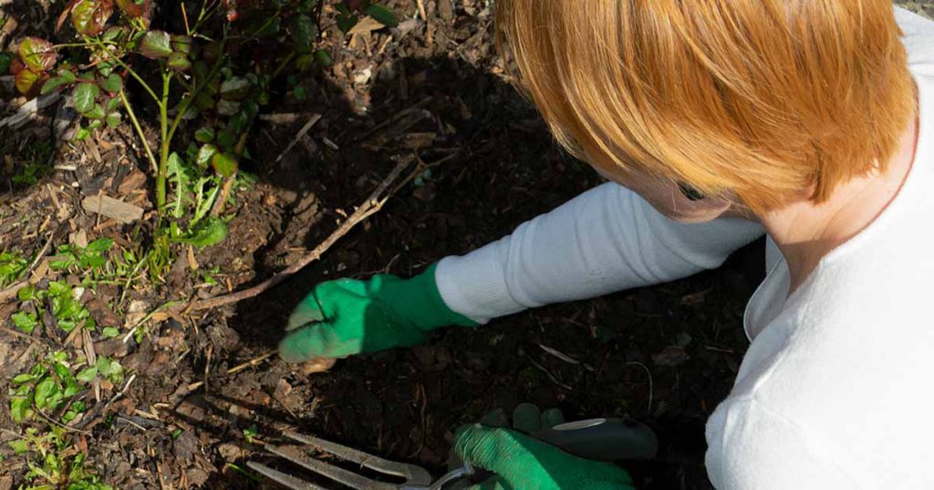 Gardening 