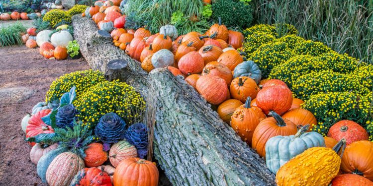 fall decor ideas hero