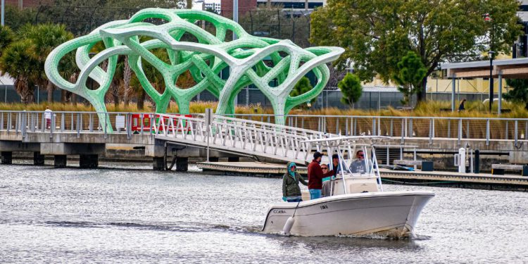 Tampa outdoor activities hero