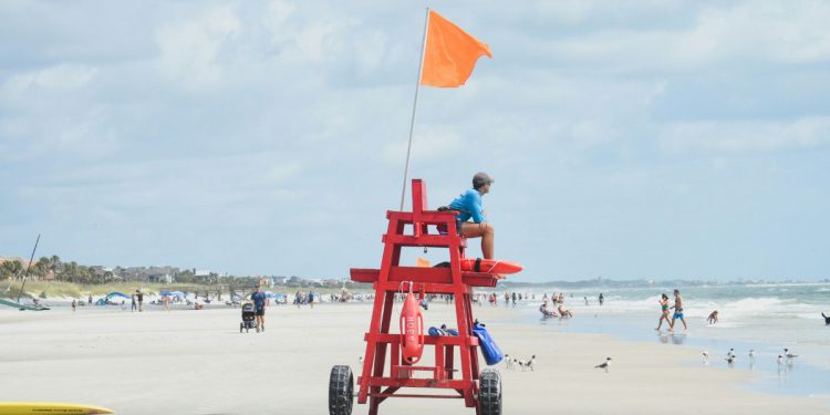 Living in Tallahassee hero