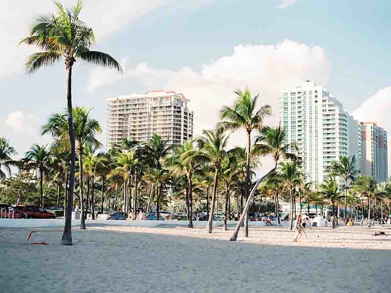 Miami Beach with palm trees, sand and hotels 