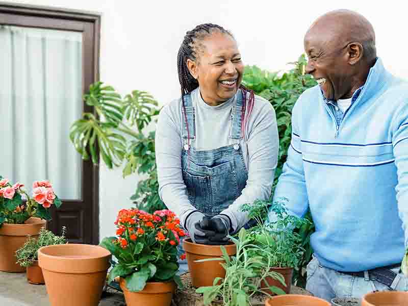 Happy couple gardening 