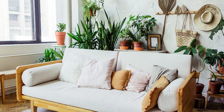 6 Ways to Embrace a Biophilic Home and Step into Nature Anytime