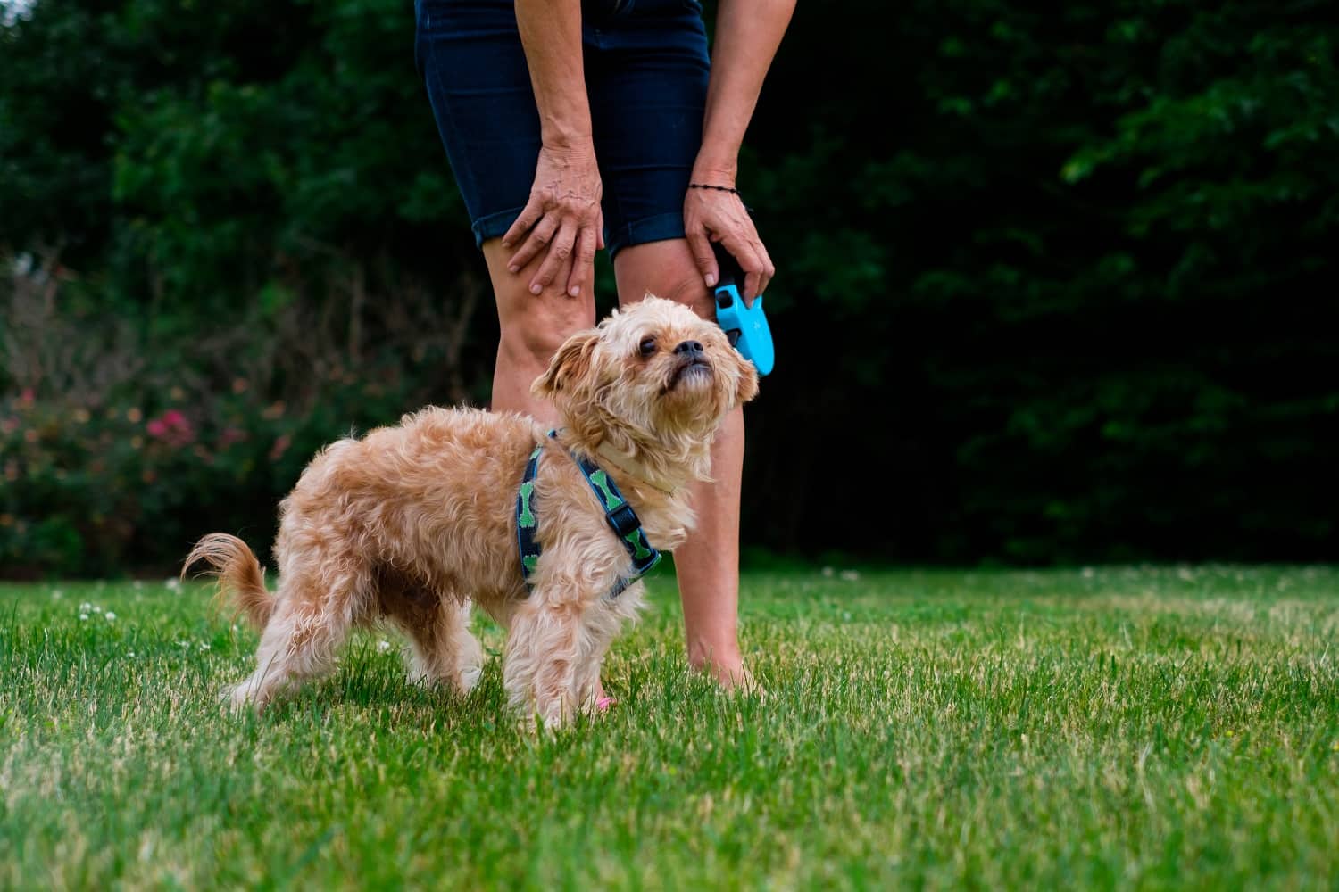 Lou Glass and her dog Brooklyn