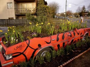 CubeSmartGardening1 A red tiger striped car with plants growing inside of it