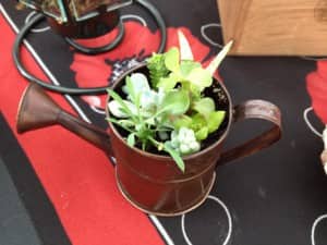 CubeSmartGardening10 Plants growing in a watering can