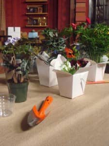 CubeSmartGardening2 Paper take out containers with various herbs growing in them