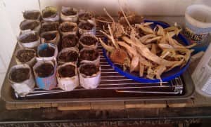 CubeSmartGardening5 Newspaper rolled into cups with dirt inside of them