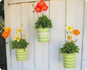 CubeSmartGardening6 Painted coffee tin planters mounted on a wall