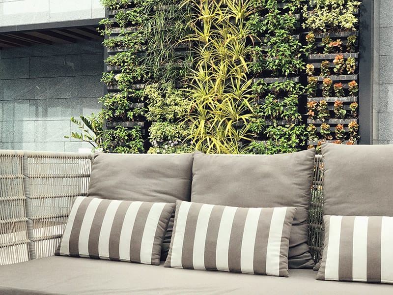 vertical garden behind outdoor seating cushions