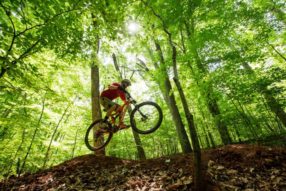 Mountain biker in Virginia