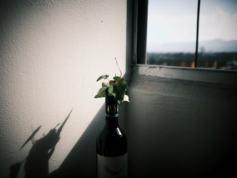 Wine Vase | Mounted Wine Vase