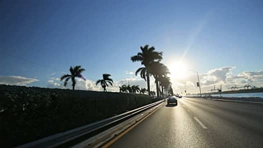 cars driving on the highway with palm trees along the side