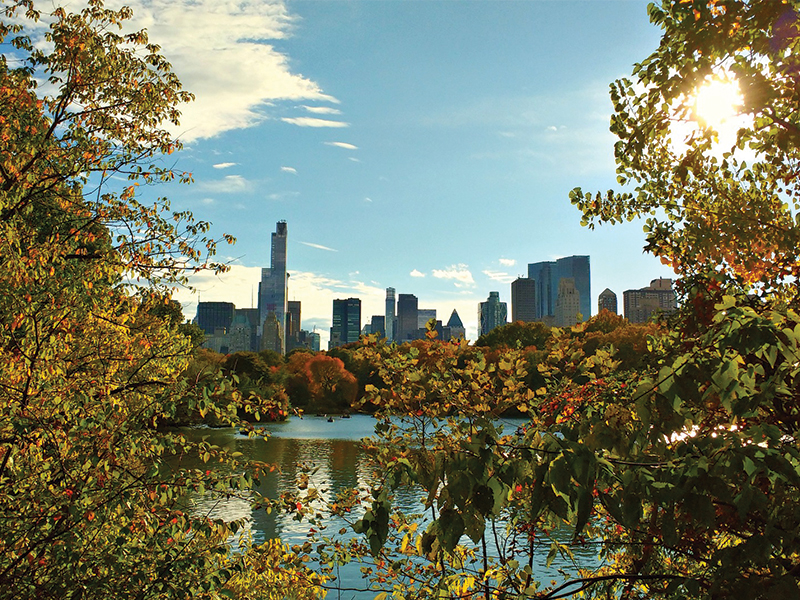 Central Park in Fall