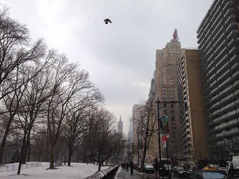 Sidewalk in NYC covered in snow during the winter