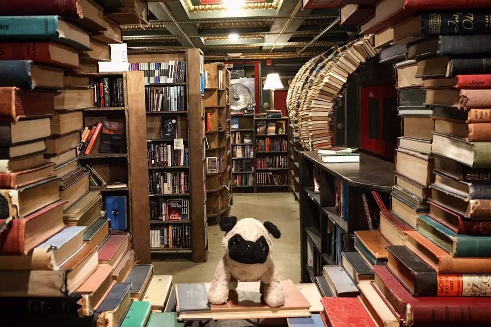 Peering through the book portal in The Last Bookstore in Los Angeles, CA